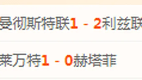 孙兴慜英超助攻次数达66，与队史纪录持平居首